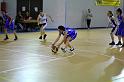 Basket 242035